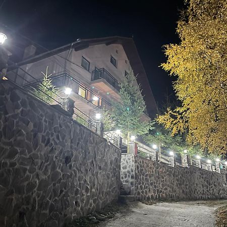 Pensiunea Joe Păltiniş Εξωτερικό φωτογραφία